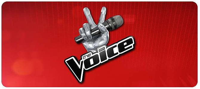 SLEDUJTE: Španělský soutěžící v The Voice zazpíval ‚Welcome To My Life‘ od Simple Plan