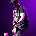 Filename=MON04.jpg
Filesize=51KiB
Dimensions=640x960
Date added=Mar 31, 2017 MON04.jpg